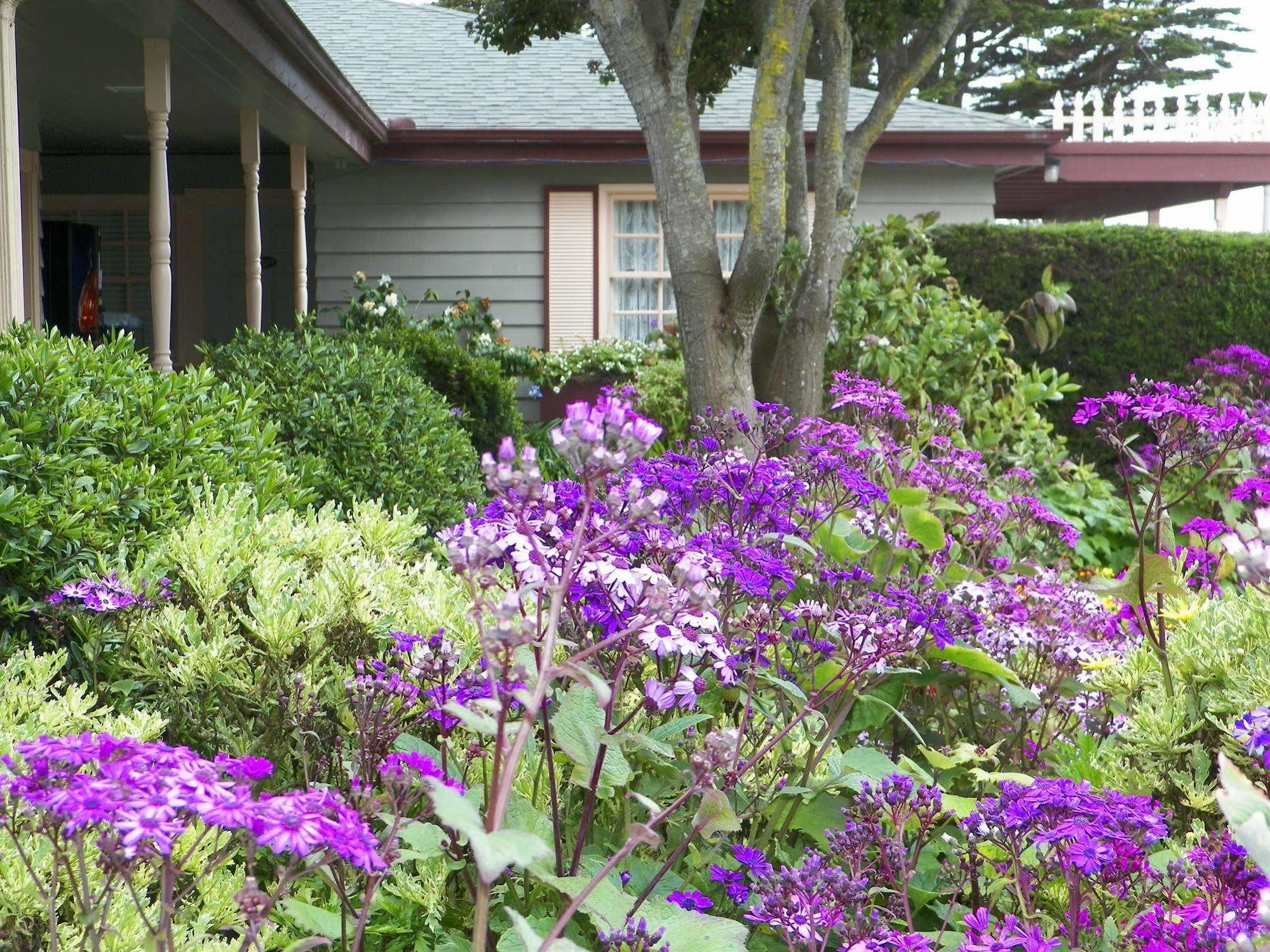 Sea Otter Inn Cambria Exterior foto